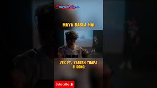 VEK  Maya Basla Hai feat Yabesh Thapa amp Dong shorts [upl. by Weinshienk]