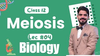 Meiosis Cell Cycle  Chapter 21  Biology Class 12 Lecture04 [upl. by Durant]