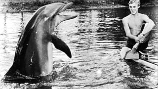 Flipper tv series with theme song [upl. by Klaus]