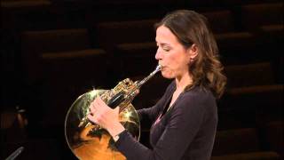 Berliner Philharmoniker Master Class  Horn [upl. by Sadirah]