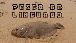 Pesca de Praia  Linguado quotBiteloquot [upl. by Keheley]