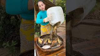 How to cook fish recipe  shorts cooking recipe food shortvideo [upl. by Dore]