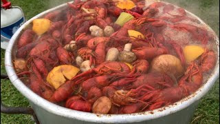 Louisiana Boiled Crawfish with fixings in 35 minutes [upl. by Shoemaker]