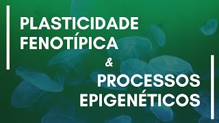 Melhores momentos quotPlasticidade fenotípica e processos epigenéticosquot [upl. by Charie]