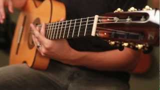 Understanding Fret Buzz on Nylon String Guitars [upl. by Megargee]