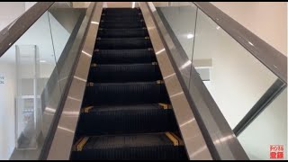 【フジテック】1X エスカレーター ニトリ岩槻店 1X escalator Nitori Iwatsuki Saitama Japan [upl. by Nasar]