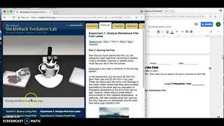 Stickleback Fish Evolution Virtual Lab [upl. by Faux]