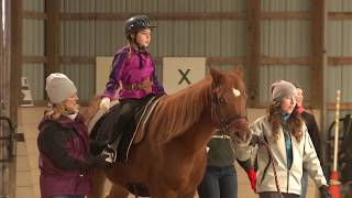 Hippotherapy Using Equine Movement in Clinical Practice Full Video [upl. by Lombardo170]