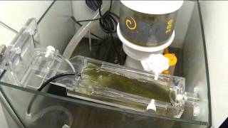 Filtr glonowy Algae scrubber ATS100 AquaTrend [upl. by Chouest999]