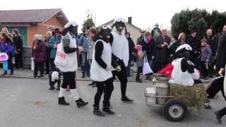 Faschingsumzug in Hofkirchen am 7 Februar 2016 [upl. by Manchester102]