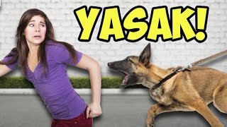 Bakılması Yasak Olan 12 Tehlikeli Köpek Irkı [upl. by Yentroc]