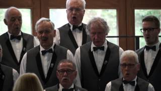 Männerchor Beinwil am See  Schweizer Gesangfest Meiringen 2015  Singen vor Experten [upl. by Bethina]