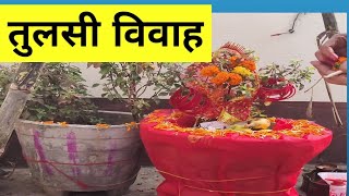 तुलसी विवाह  vlog episode tulsi vivah  vlog vlogger vlogging viralvideo [upl. by Lleuqram216]