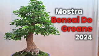 Bonsai Do Groane  Mostra Bonsai e Suiseki 2024 [upl. by Eibrad662]