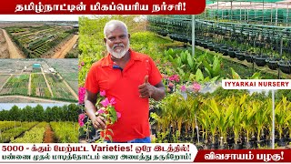 🌴🌿 இயற்கை நர்சரி மிகப்பெரிய உற்பத்தி நிலையம் 😱 No Hybrid plants ❗ Biggest nursery in tamilnadu [upl. by Ira94]