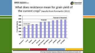 GRDC Grains Research Updates 67 March 2012 Northern Region Goondiwindi QLD John Thompson [upl. by Nomzaj]