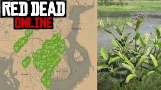 Asclepias Localización  Red Dead Redemption 2 Online  Desafíos Diarios [upl. by Estevan28]