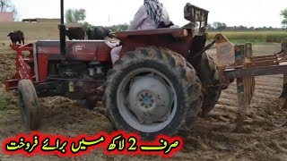 old model MF 240 tractor for sale  low price Mf 240  tractor for sale  village tractor [upl. by Ahsenev]