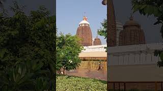 Chhatia jibe ki sri Jagannath puri [upl. by Aihsile119]