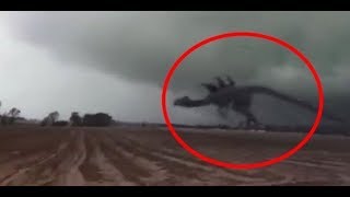 Top 10 Mysterious Giant Monster Creatures Caught on Tape [upl. by Akibma]