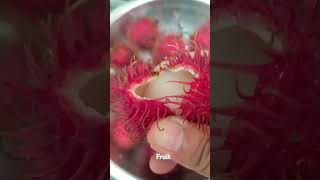 Hairy Fruit rambutan fruit shorts [upl. by Sandie691]