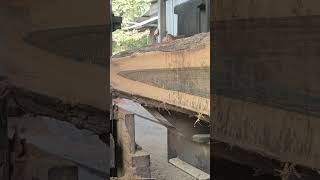 Teak wood Sawmill jatiindia thailand [upl. by Sonahpets]