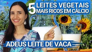 Os 5 LEITES vegetais MAIS RICOS EM CÁLCIO  Fáceis SAUDÁVEIS e sustentáveis [upl. by Varney273]