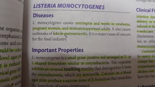 Listeria Monocytogenes  MICROBIOLOGY [upl. by Efioa988]