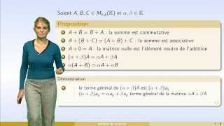 Matrices  partie 1  définition [upl. by Ocsecnarf]