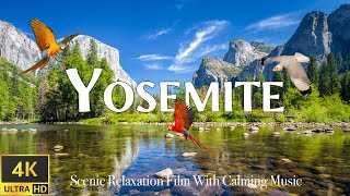 YOSEMITE National Park 4K Ultra HD  Scenic Relaxation Film with Calming Music Amazing Footage [upl. by Zach]