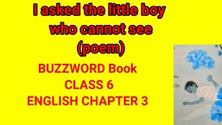 I ASKED THE LITTLE BOY WHO CANNOT SEE POEM CLASS 6 BUZZWORD BOOK ENGLISH [upl. by Stoller]