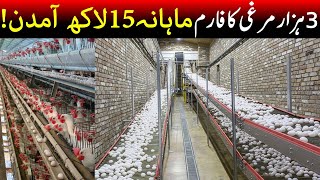 poultry farm business plan in pakistan 2023  Poultry Farming  Eggs Farming [upl. by Raimondo]