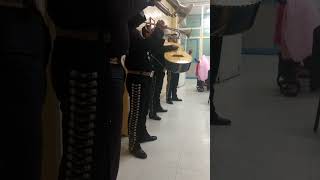 Mariachis en Naucalpan San José de los Leones 5546112676 telefono mariachi economico a domicilio [upl. by Gulick]