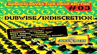 Dubwise Riddim Mix FlashBack 2024 ft Lutan Fyah Beenie Man AssassinAgent Sasco Busy Signal [upl. by Oraneg]