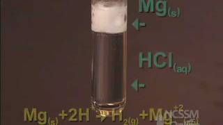 Reaction of Mg with HCl [upl. by Gnirol495]