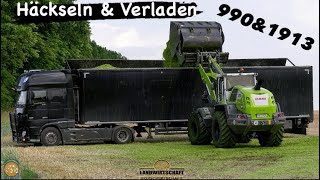 Silage auf LKWs Verladen amp Häckseln Claas Jaguar 990 amp Claas Torion 1913 im Großeinsatz Erntearbeit [upl. by Anawat]