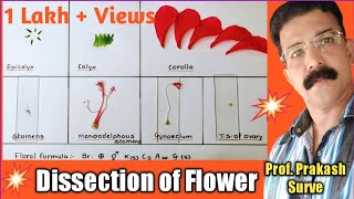 Dissection of Hibiscus Flower with Complete ExplanationPractical2By ProfPrakash SurveModerator [upl. by Aelat975]