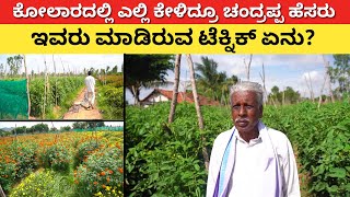 ಈ ರೈತ ಮಾಡಿರುವ ಟೆಕ್ನಿಕ್ ಒಮ್ಮೆ ನೋಡಿ  Modern Farming in Karnataka  META DAP best farming namma gromor [upl. by Baseler828]