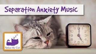 Sleep Music for Cats to Help with Separation Anxiety 🐱 ANXIETY03 [upl. by Dunton498]