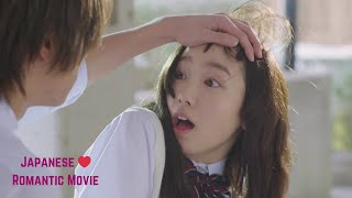 Closest Love to Heaven 2017 Japanese Romantic Movie Explained In Hindi [upl. by Lanod]