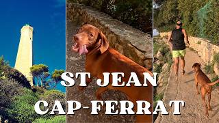 VIZSLA  SAINT JEAN CAPFERRAT COASTLINE RUN [upl. by Neeliak]