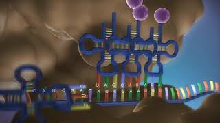 Proteinbiosynthese 3D in 3 Minuten  made EASY [upl. by Netsyrc]