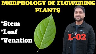 Morphology Of Flowering Plants Class 11L02Stem leafVenationShadab sir [upl. by Anerbes]