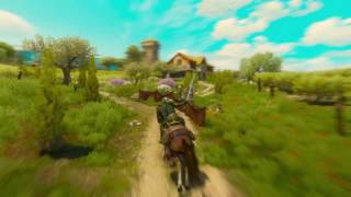 The Witcher 3 Wild Hunt  The warble of a Smitten Knight  Horse Race failures [upl. by Estelle]