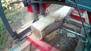 Milling dry Osage Orange on MechMaxx 26quot sawmill [upl. by Levin]