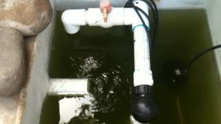 Duck Pond Recirculating Filtration Set Up [upl. by Reidid]