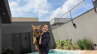 COLOCAMOS A TELA DE PROTEÇÃO PARA OS GATOS 🐈 Diário de mudança da CASA NOVA 🏠 [upl. by Adlez]