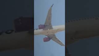 VOLARIS A320NEO FLYBY planesspotting aircraft aviation ajaviation2 [upl. by Desi]