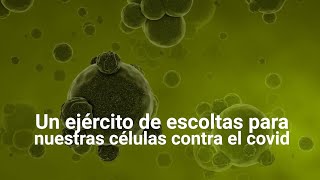 Escoltas contra el coronavirus [upl. by Martijn]