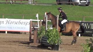 3ft 2 hunter trials at David Broome Event Centre [upl. by Kelcy]